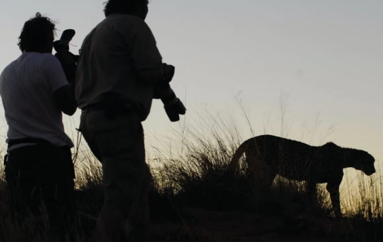 Photographic Safari at Tswalu Kalahari Reserve